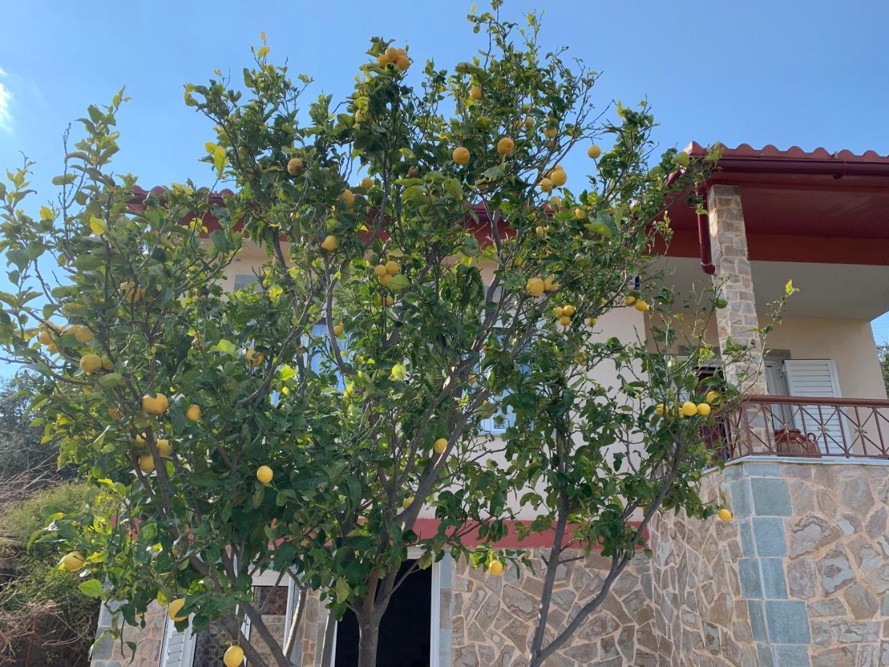 Peaceful House Near Airport Villa Pikérmion Exterior foto